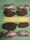 Large Owl Pellets (2+ inch) | 100% Barn Owl