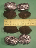 Medium Owl Pellets (1.5–2 inch) | 100% Barn Owl
