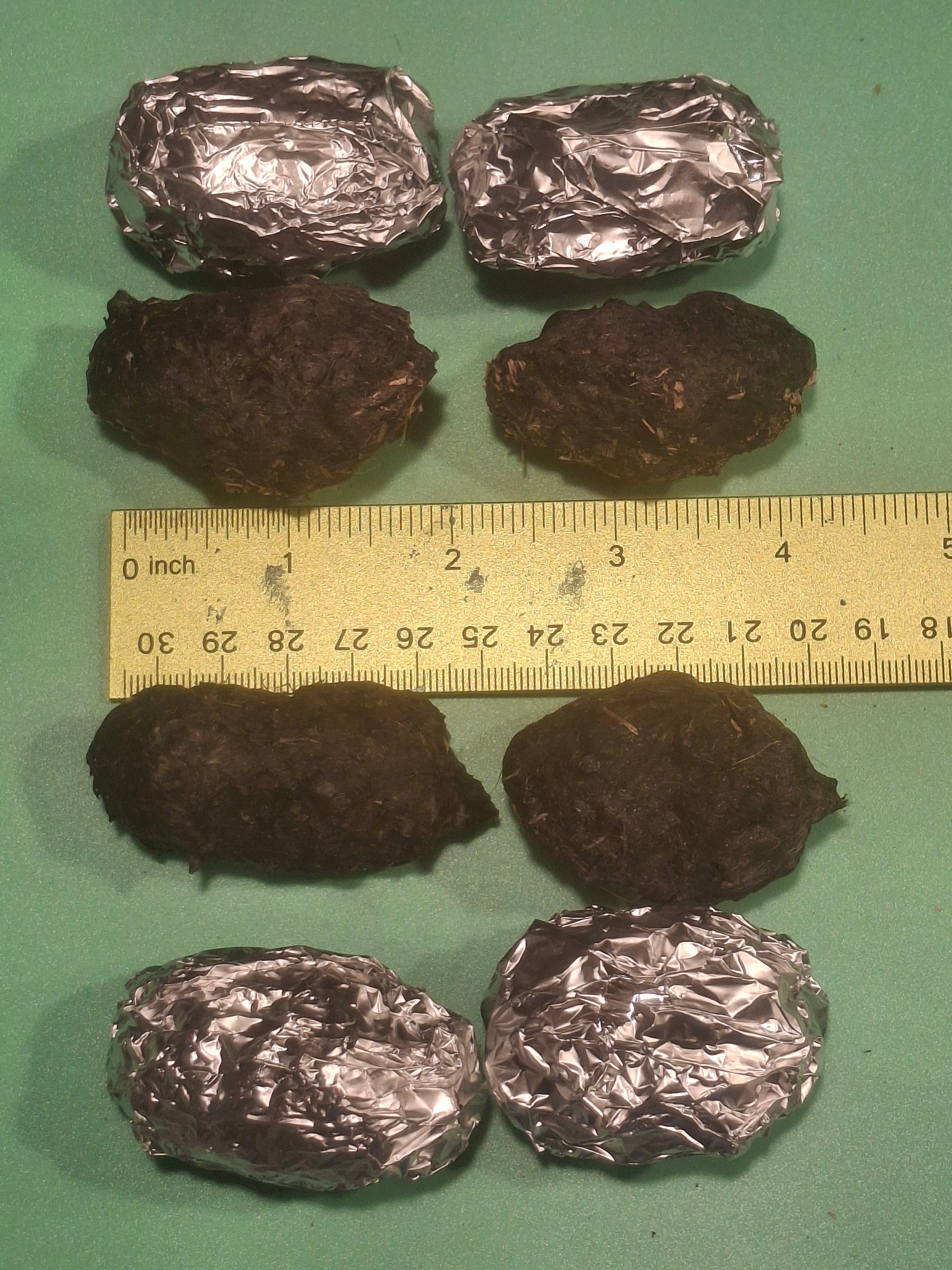 Medium Owl Pellets (1.5–2 inch) | 100% Barn Owl