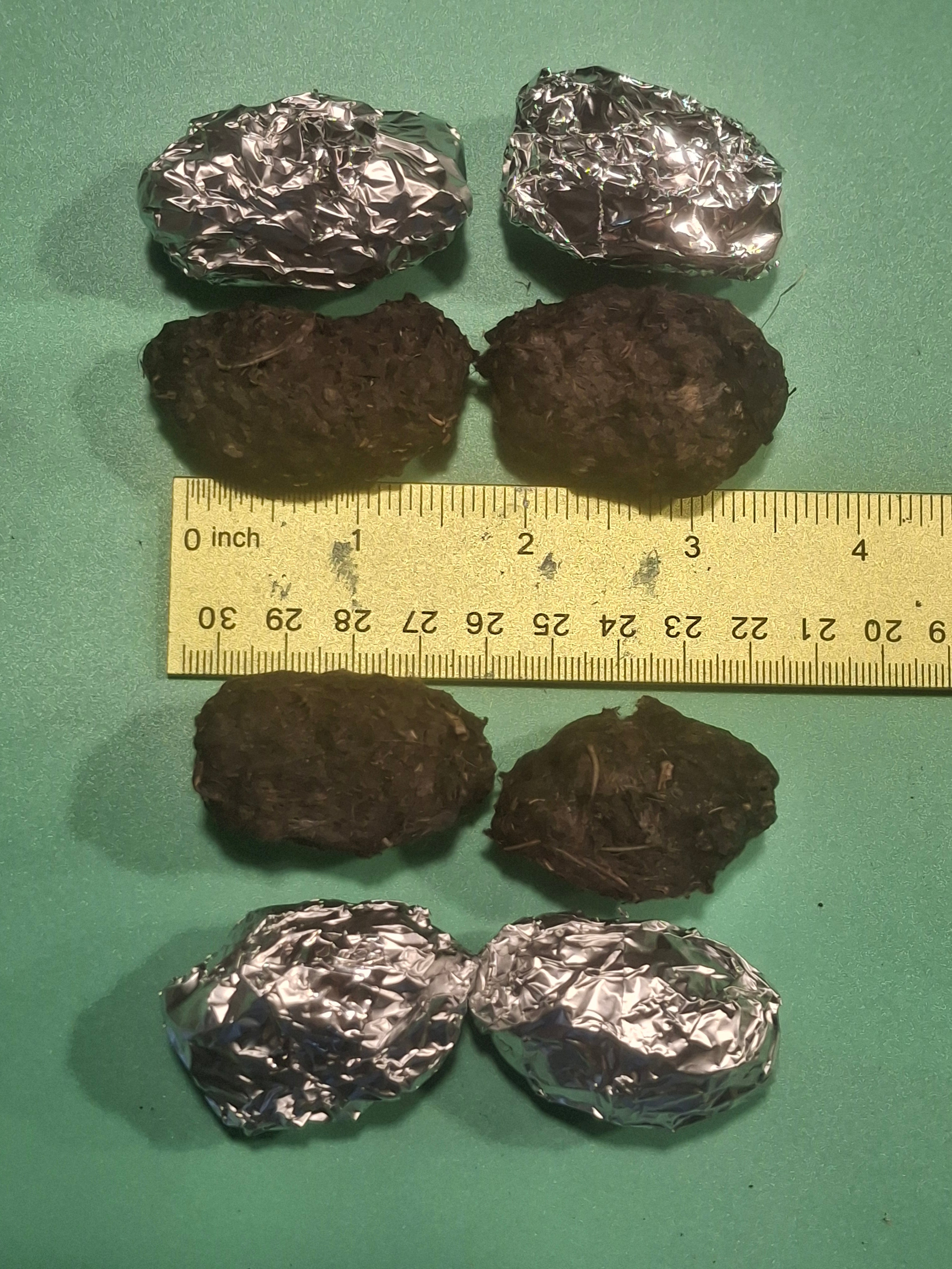 Small Owl Pellets (1–1.49 inch) | 100% Barn Owl